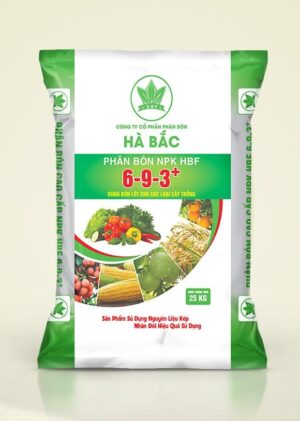 NPK HBF 6-9-3+